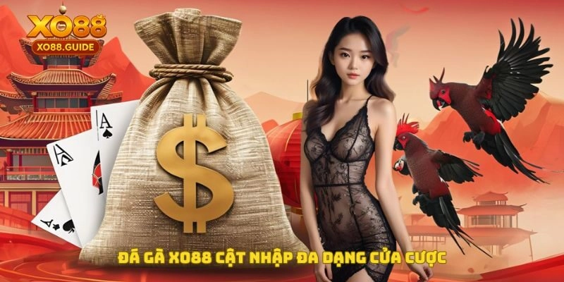 Đá gà XO88 cập nhật đa dạng cửa cược