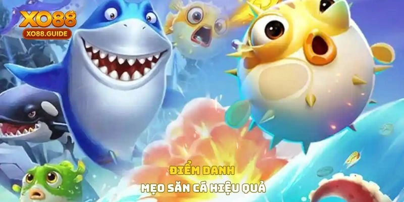 Điểm danh mẹo săn cá hiệu quả