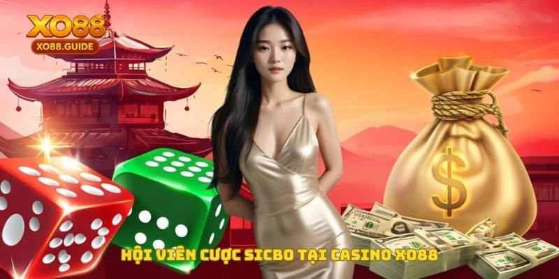 Hội viên cược Sicbo online tại Casino XO88