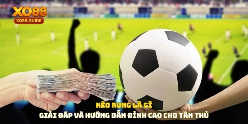 Kèo rung là gì - Giải đáp và hướng dẫn đỉnh cao cho tân thủ