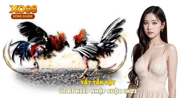 Tất tần tật về bí kíp nhập cuộc chơi