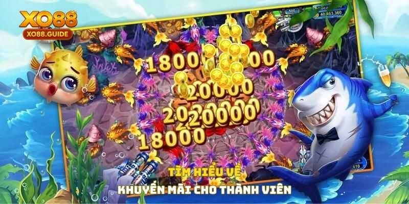 Tìm hiểu về khuyến mãi cho thành viên
